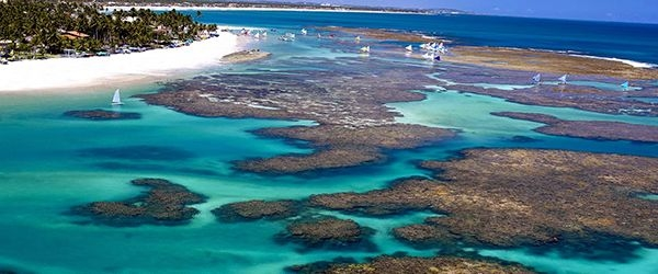 image-55 Praia de Porto de Galinhas: Beleza, Piscinas Naturais e Dicas
